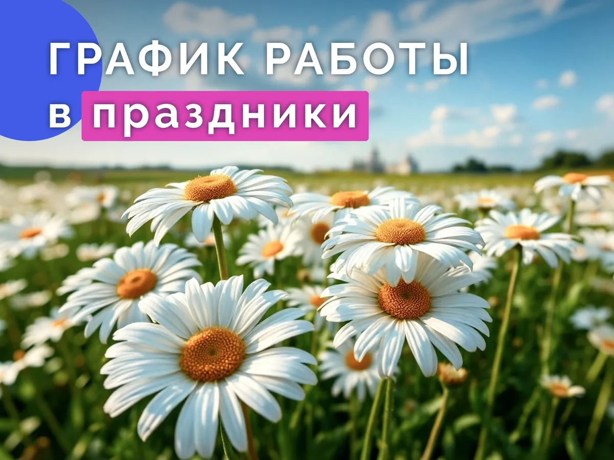 График работы с 11 по 14 июня