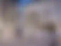 Во дворе жилого комплекса Familia будет установлена скульптура львов