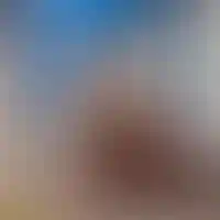 Львы в ЖК Familia