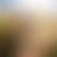 Приключения Расти