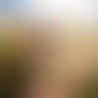 Приключения Расти