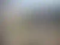 Выведены на рынок квартиры в новом корпусе ЖК Familia