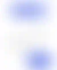 Хиты продаж в Приморском районе