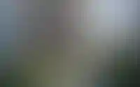 Комфортная среда