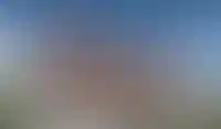 О доме