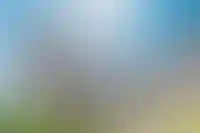 Познакомьтесь с окружением и посмотрите фото и видеогалерею