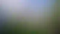 БЕЛАРТ