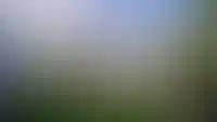 БЕЛАРТ