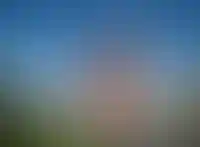АКАДЕМИК