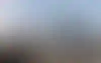 ELEVEN