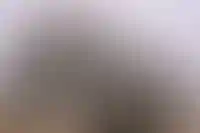 Узнайте, какие работы выполняются на строительной площадке