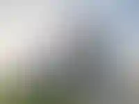 Санкт-Петербург, ул. Планерная д.91 корп.1 стр. 1, помещение 4Н