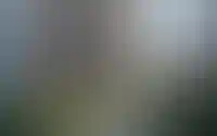 Комфортная среда