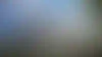 О проекте