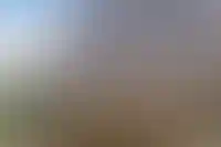 Современная архитектура