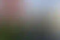 АКАДЕМИК
