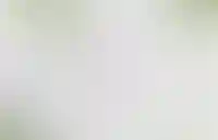 Вы легко сможете добраться до любой точки Санкт-Петербурга