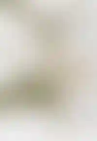 Вы легко сможете добраться до любой точки  Санкт-Петербурга