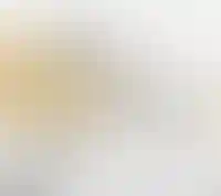 Вы легко сможете добраться до любой точки  Санкт-Петербурга