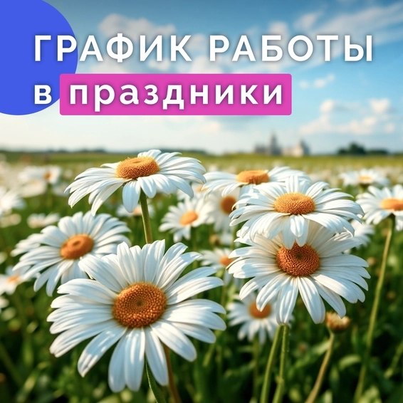 График работы с 11 по 14 июня